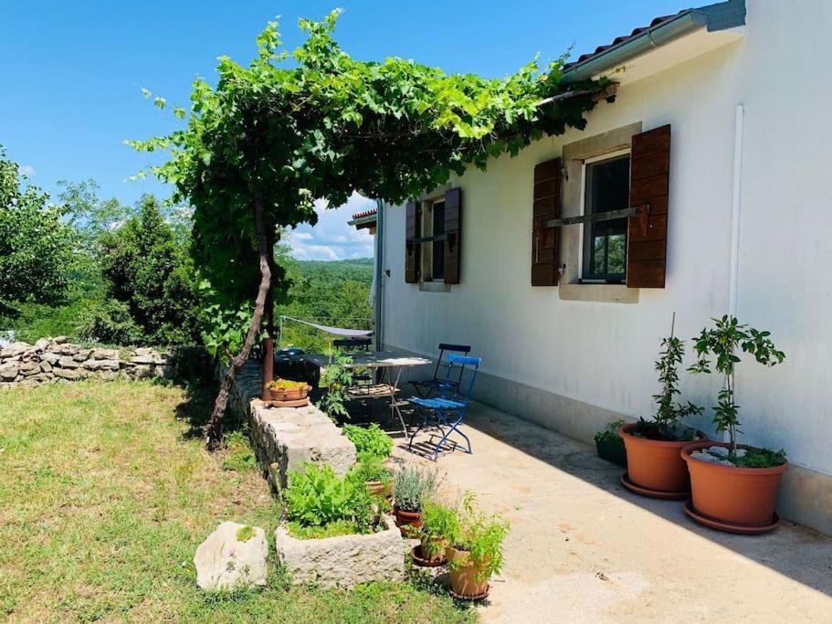 Grant'S Villa Лабин Екстериор снимка